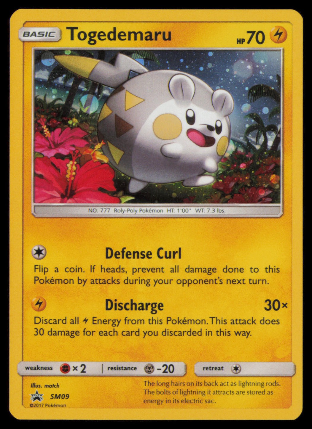 Togedemaru - SM09 Holo Promo Sun & Moon Promo Pokemon Near Mint