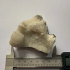 Foto 11 di 12