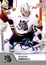 Antoine Bibeau Signed Auto 2020-21 Upper Deck AHL card Chicago Wolves
