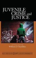 William J Chambliss | Juvenile Crime And Justice | Buch | Englisch (2011)