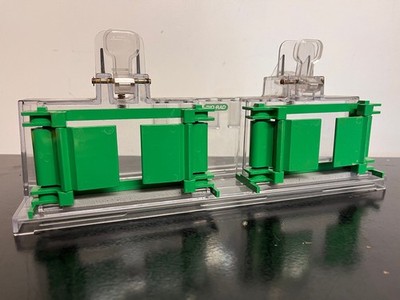 Bio-Rad Mini-PROTEAN  Tetra Cell Casting Stand  with Clamp Kit & gaskets