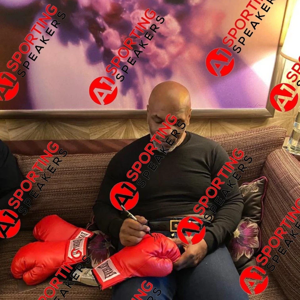 Framed Mike Tyson Signed Red Everlast Boxing Glove With COA £350 - Image 3 of 4