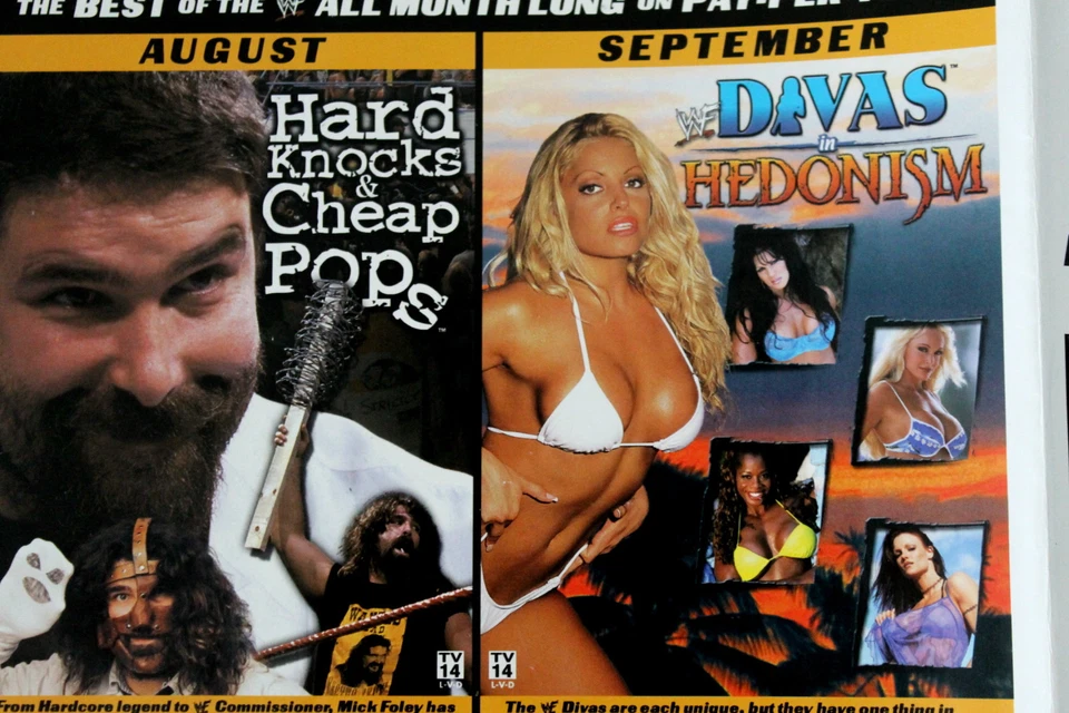 WWF WWE 2001-2002 The Rock Pay Per View calendario de lucha libre anuncio mini póster pulido Foto 3 de 4