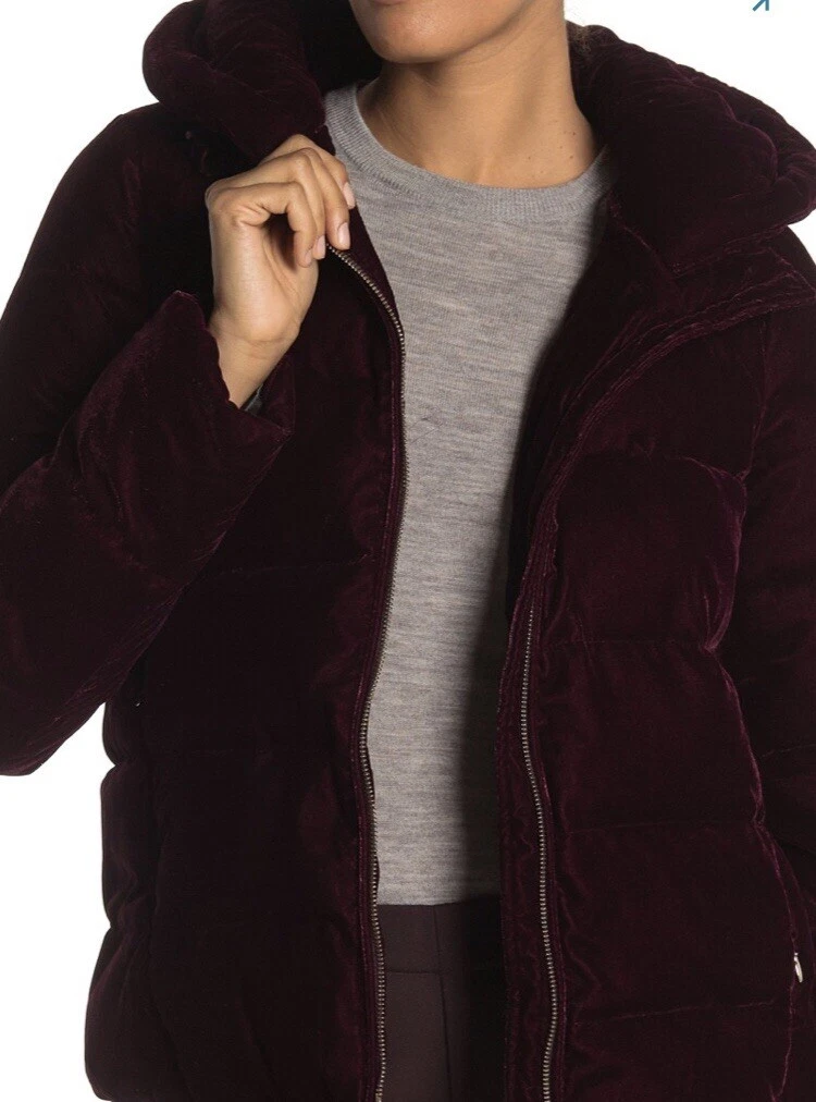 Velvet puffy coat top