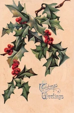 Pretty Sprig of Holly on Vintage Christmas Postcard