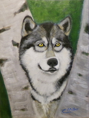 Original Acrylic Painting Timber Wolf 9x12 Animal Dog Wildlife Wall Art Signed