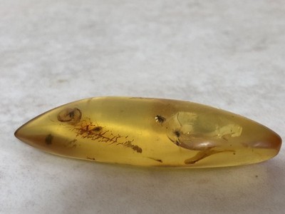 Exclusive fly 4 Baltic Amber Natural Nugget 100% Weig 5g