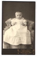Fotografie Carl Loos, Weidenau, Wilhelmstr. 79 /2, Porträt eines Kleinkindes au 