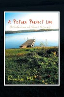 Rachel Hill | A Picture Perfect Life | Taschenbuch | Englisch (2017) | Xlibris
