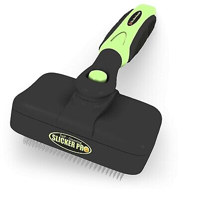 chi self cleaning slicker brush