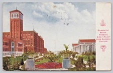Postcard Chicago Illinois Sears Roebuck & Company Plant Gardens c1910