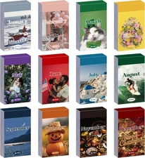 12 Sets 600 Sheets Washi Stickers for Journaling, Nature Season Festival Travel 