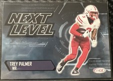 TREY PALMER 2023 SAGE Next Level Card  TAMPA BAY BUCCANEERS #197