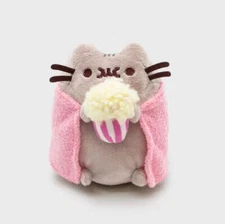 Pusheen Cat Exclusive Wearing a Robe Plush with Popcorn! So Cute