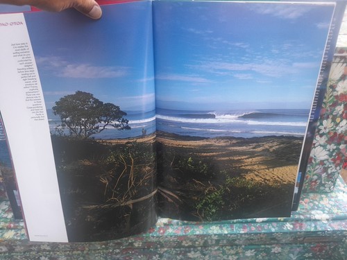 Surfing The Chain Of Fire In Search Of A Lost Dream Hardcover Book - Foto 14 di 23