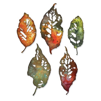 Sizzix Thinlits Dies By Tim Holtz 5/Pkg-Leaf Fragments