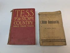 LOT OF 2 Books: Tess of the Storm Country by White & L'Abbe Constantin by Halevy