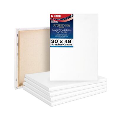 U.S. Art Supply 30 x 48 inch Stretched Canvas 12-Ounce Triple Primed, 6-Pack ...