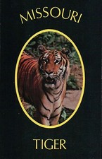 University of Missouri, Columbia MO, Tiger - Great for Postcrossing - Postcard