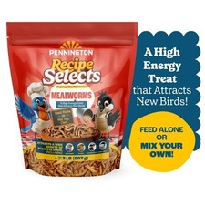 Pennington Mealworms, Bluebird and Wild Bird Food, 2 lb. Bag, 1 Pack, Dry