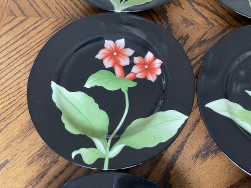 Fitz & Floyd Fleur de Minuit 12 Salatteller 7 1/2" schwarz mit Blumen - Bild 6 von 18