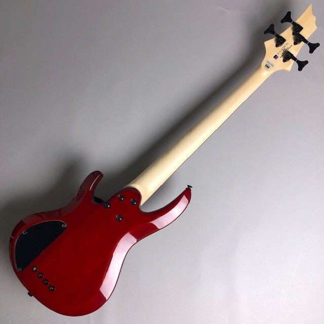 ESP BTL LISA 