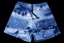 Nautica Men's Blue Scenic Swim Trunks M Elastic Waist Drawstring Lined