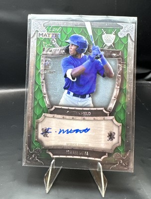2024 Wild Card Matte Ismael Mena Green Weekend Warrior Auto 1/1 Chicago Cubs