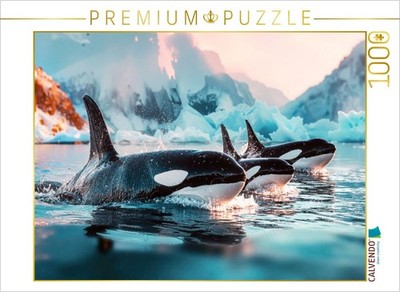 CALVENDO Puzzle Ist dies ein Wettschwimmen vor eisiger Kulisse? | 1000 Teile Leg