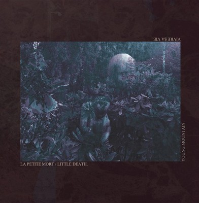 Young Mountain / La Petite Mort / Vivre sa Vie split 12'' Emo / Screamo Vinyl