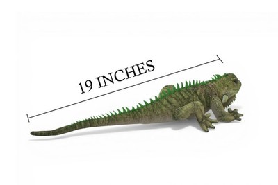 Iguana, Green, Stuffed Reptile, Plush Realistic, Toys, Gift, 19
