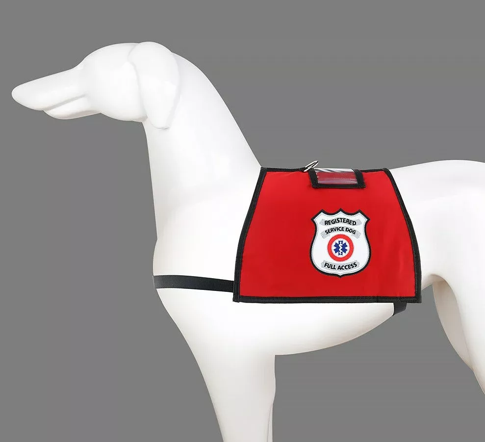 Service dog vest with handle and pockets 2025