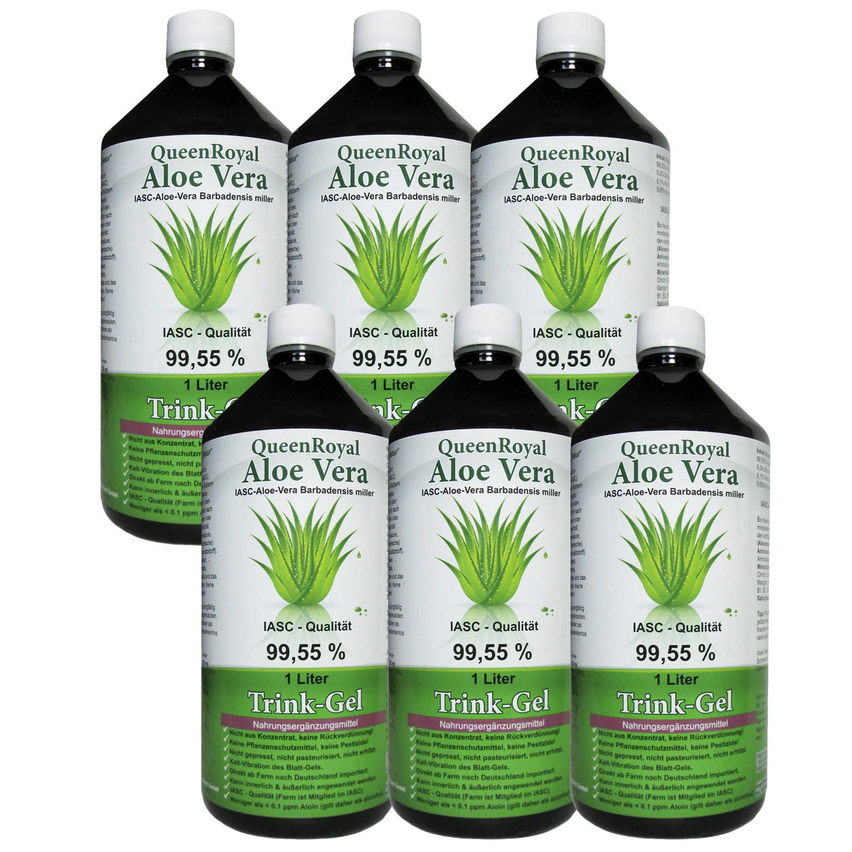 aloe vera blatt fr gesicht Aloe vera Blatt frisch frisch geliefert