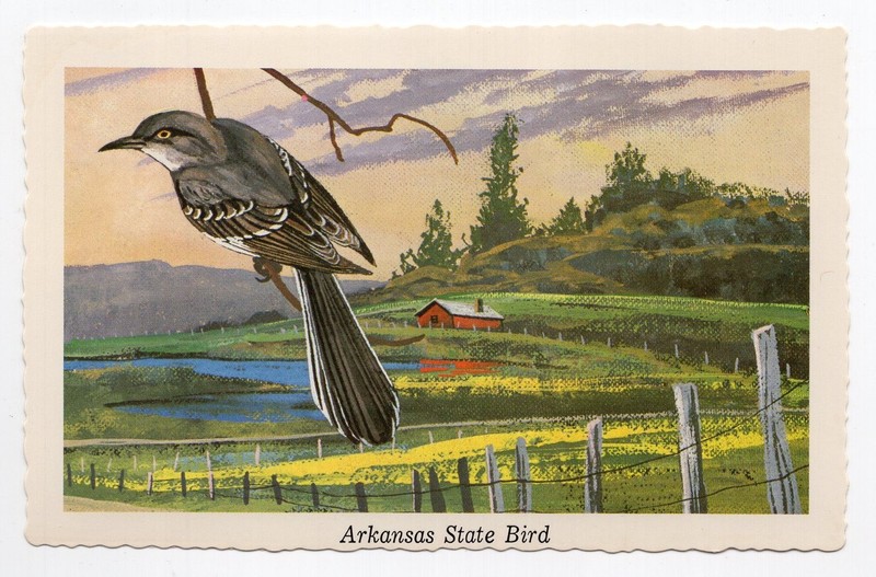 1968 Chrome - Mocking Bird - Arkansas State Bird