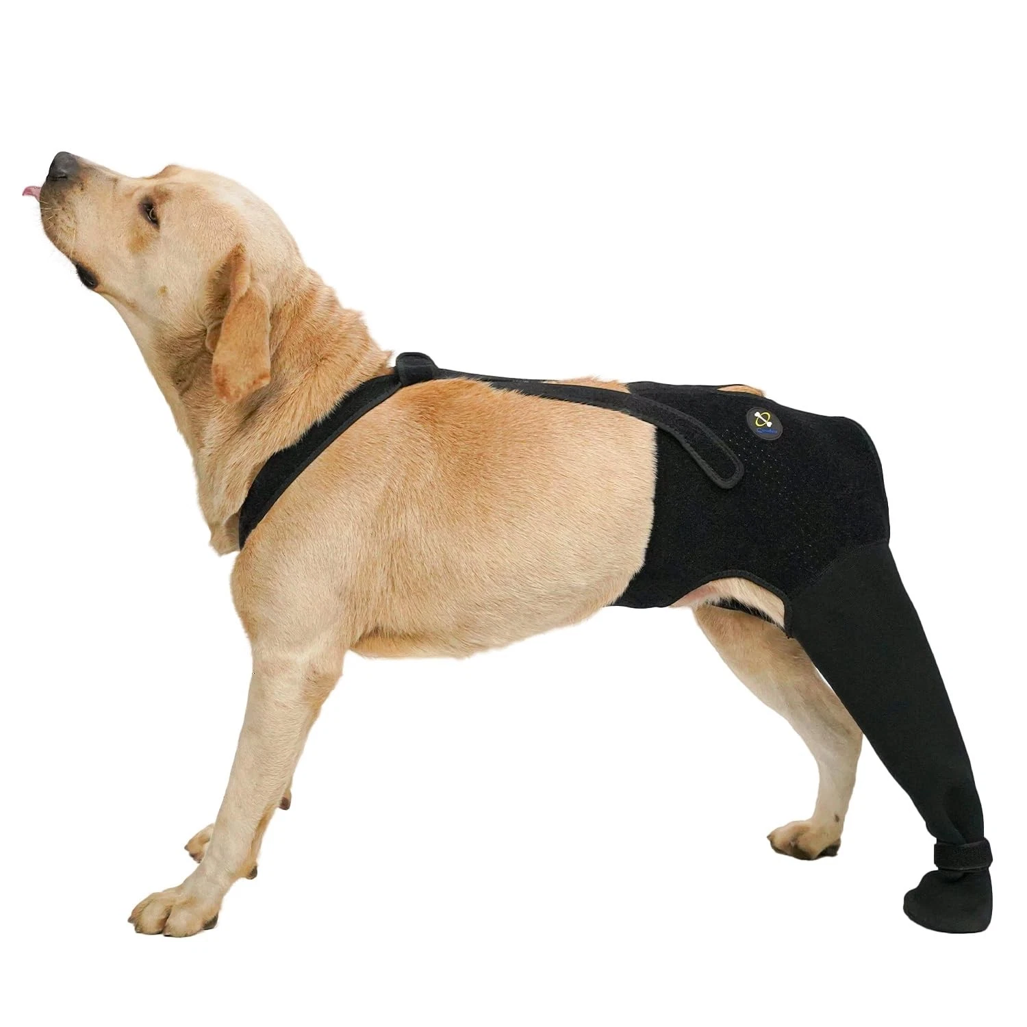Dog Rear Leg Recovery Sleeve, Waterproof Hind Leg Sock for Dogs, Anti-Slip Pa...