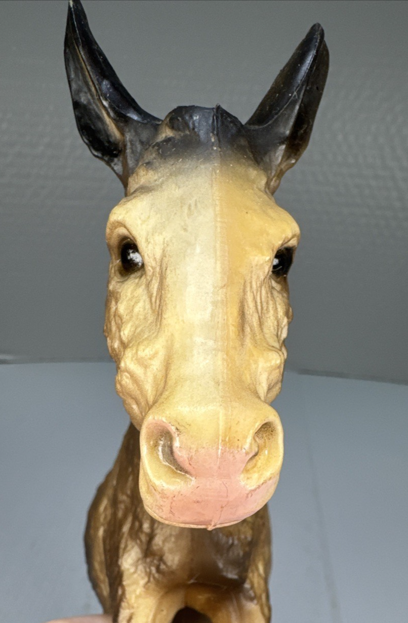 Bild 2 von 10