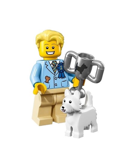 Lego : 76271 The Animated Series Gotham City MINIFIGURES | eBay