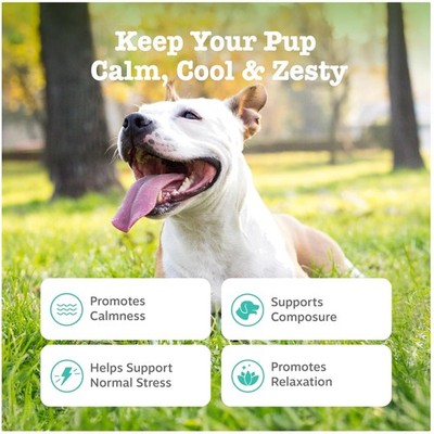 Stress Relief Dog Treats with Suntheanine - 90 Chews