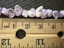 Tiny Purple Shells W/ Holes 5 Strands + 1/2 Strand Jewelry Making Beads