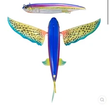 Slipstream 200 Flying Fish - Sun Spot, 200mm - 8 Inch