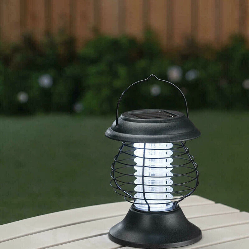 Solar sale bug lantern
