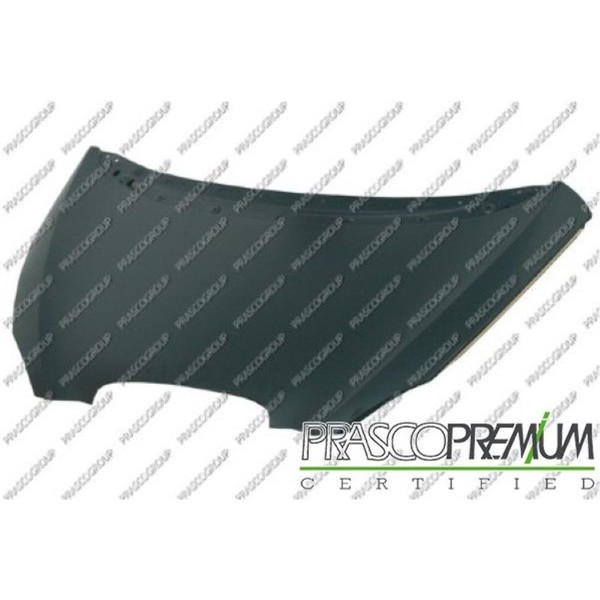 Motorhaube Haube Passend FüR Seat Altea 5P1-image