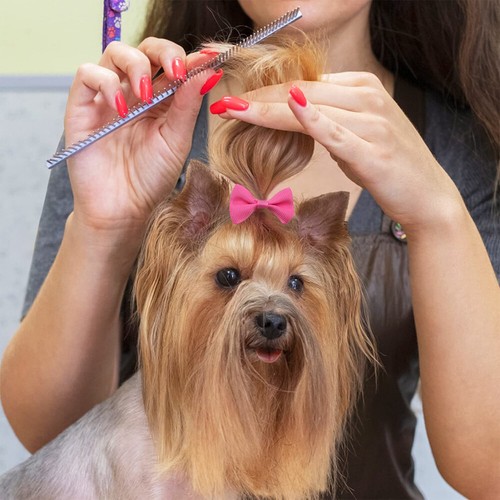 50Pcs Cute Dog Pet Hair Bows DIY Band Puppy Cat Headdress Grooming Accessories - Picture 4 of 20