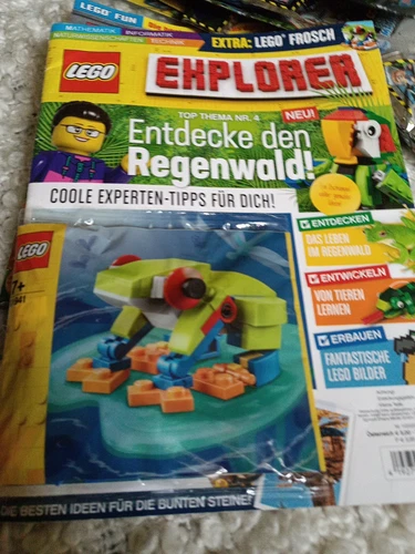 Lego Explorer 11 2020 Frosch