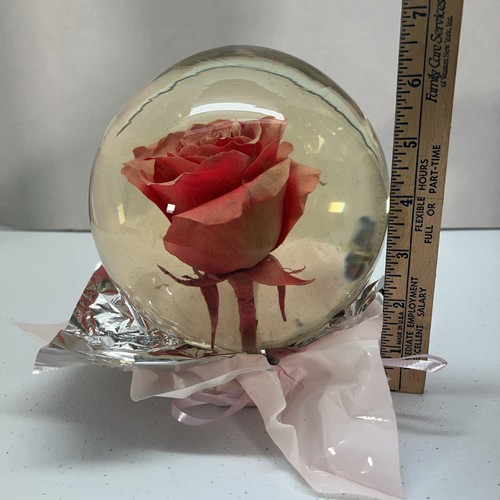 Forever ROSE/PINK In Glass Ball Water Dome Globe Large Real Rose 6x6 in. - Picture 8 of 9