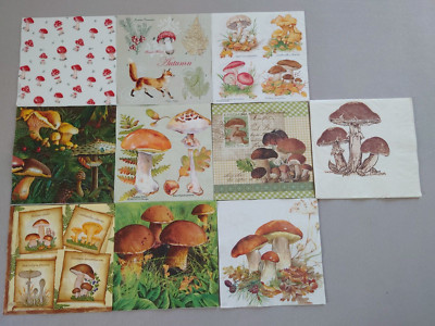 10 Servietten Pilze Fliegenpilz Steinpilz Herbst 33x33 N31  MOLCA Serviette