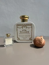 Santa María Novella - XXL - Handcrafted Ceramic Vase Limited Edition