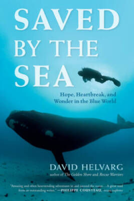 Saved by the Sea: Hope, Heartbreak, and Wonder in the Blue World - GOOD