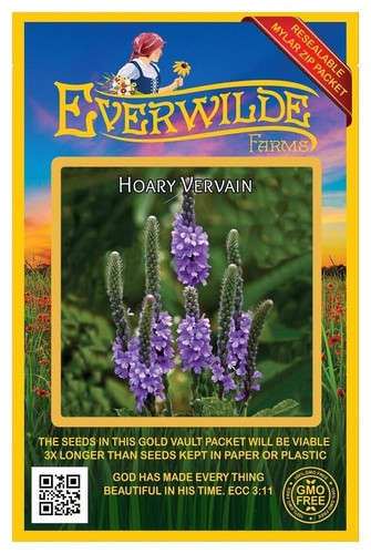 Prato Mix di Verbena hybrida e Lippia nodiflora