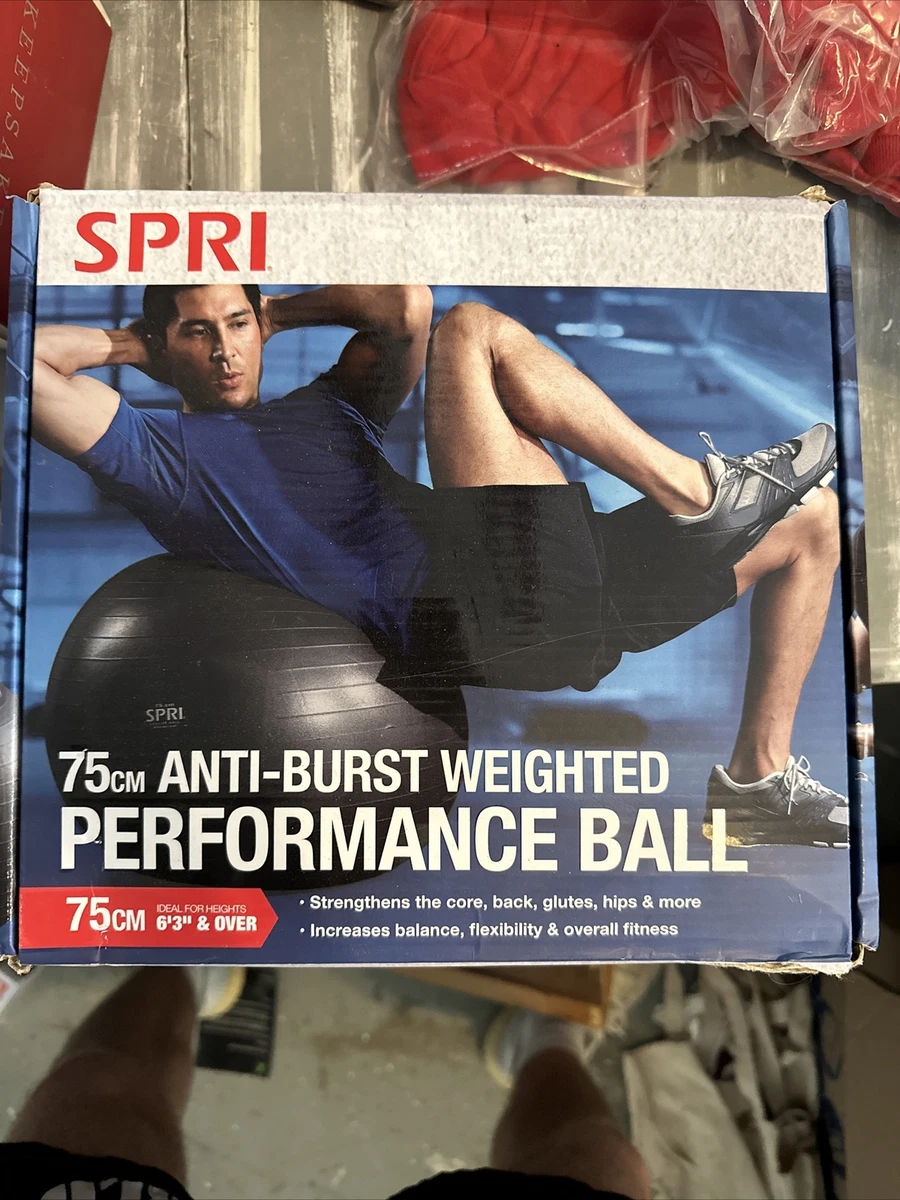 SPRI Weighted Stability Exercise Ball 65CM Grey eBay